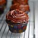 The Best Chocolate Cupcakes with Chocolate Buttercream Frosting