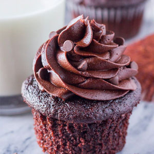 Ultimate Double Chocolate Cupcakes